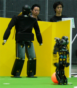 RoboCup 2006 Humanoid League Penalty Kick TeenSize