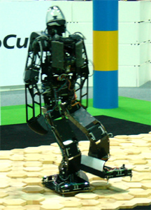 RoboCup 2006 Humanoid League Technical Challenge Rough Terrain
