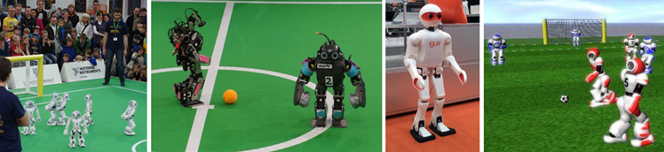 Humanoid Soccer