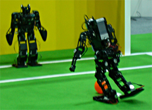 RoboCup 2006 Humanoid League Penalty Kick