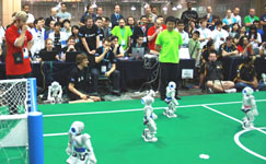RoboCup 2010 SPL Final: B-Human vs rUNSWift